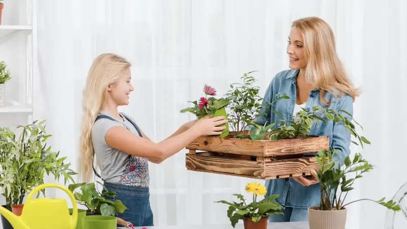 DecoradHouse Garden Tips by DecoratorAdvice: and Garden Styling Ideas