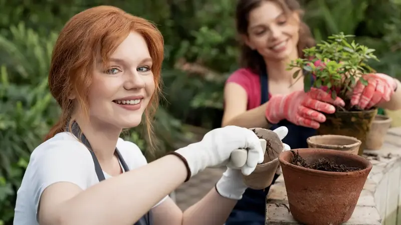 Garden Tips Decoradhouse: Practical Ideas to Create a Beautiful, Healthy, and Low Maintenance Garden