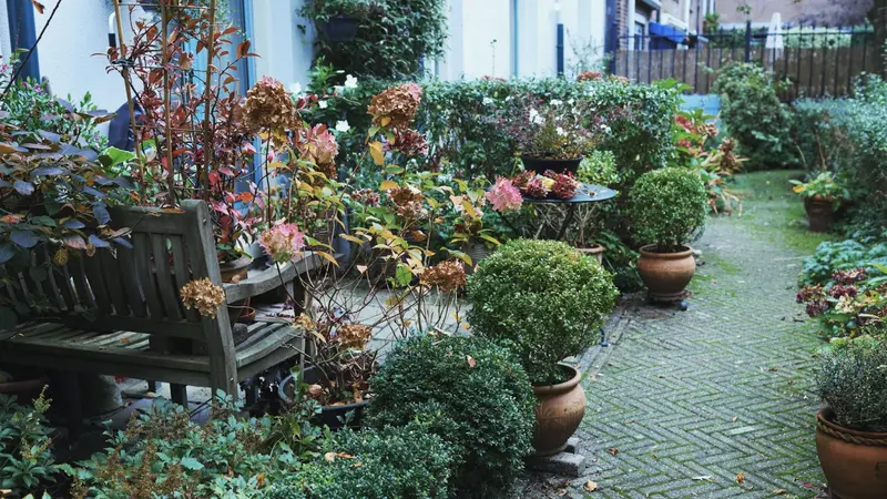 Smart Gardening Tips for a Healthier, Low-Maintenance Outdoor Space