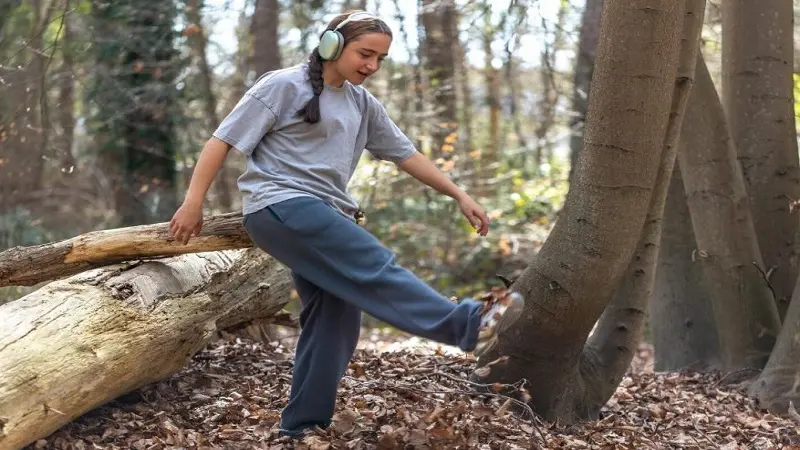 How Professional Tree Stump Grinding & Removal Improves Ottawa Landscapes