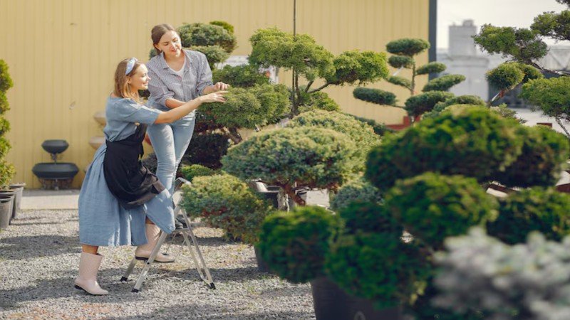 Decoradhouse Garden Tips by Decoratoradvice for a Beautiful Outdoor Space