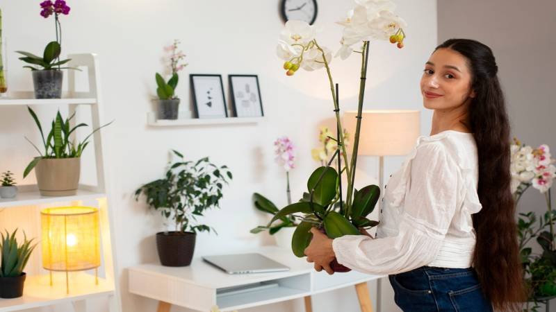 How to Decorate My House Decoradhouse Guide for Stylish Living