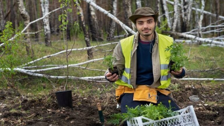 Why Professional Tree Care Is Important for Toronto Properties