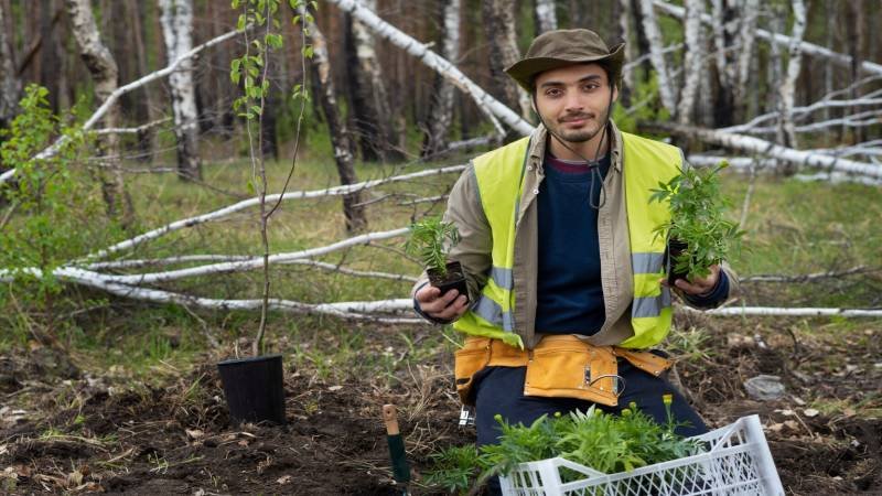Why Professional Tree Care Is Important for Toronto Properties