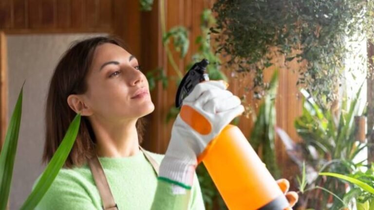 How to Get Rid of Insects at Home: A Practical, Science-Backed Guide