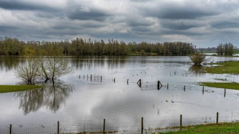 Understanding Flood Zones Before You Buy