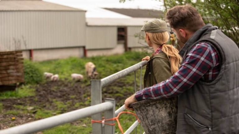 Irrigation Connections Explained: What Makes a System Reliable From One Section to the Next