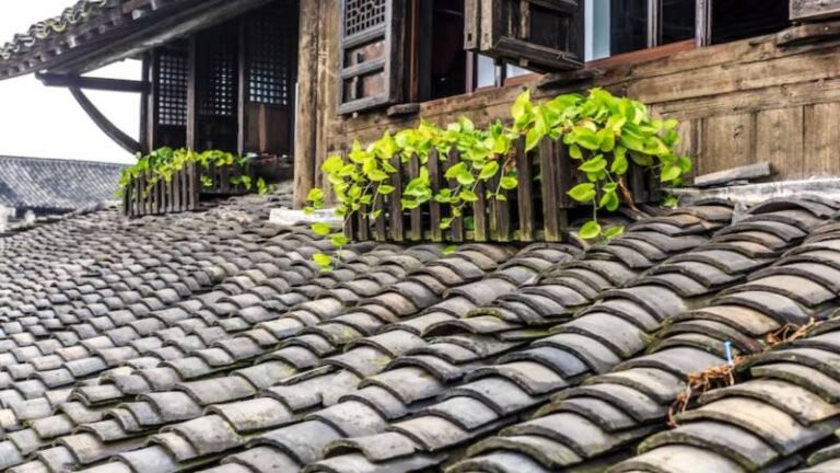 Roof Tiles and Their Role in Pitched Roof Design