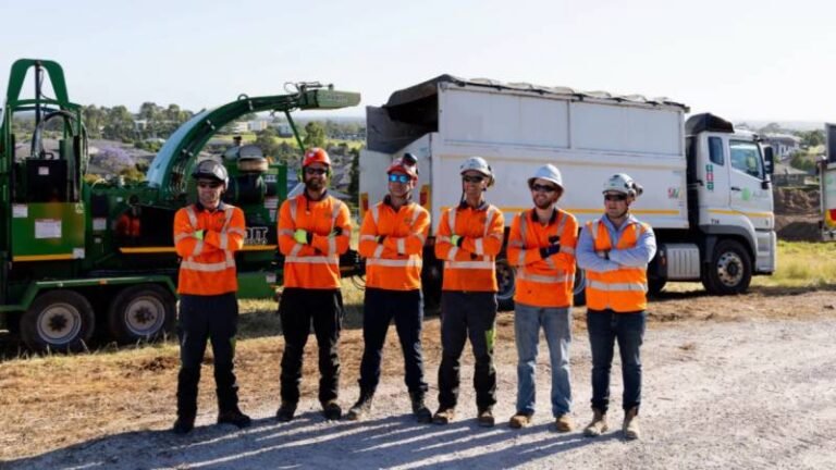 What Information Is Included in a Professional Arborist Report?