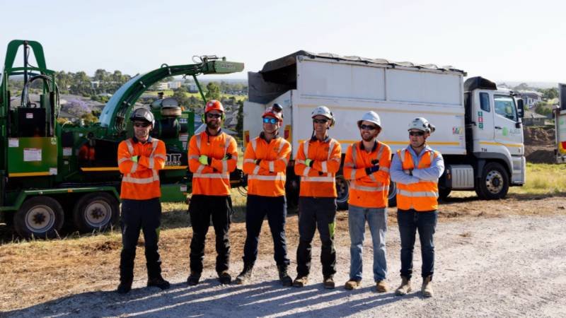 What Information Is Included in a Professional Arborist Report?