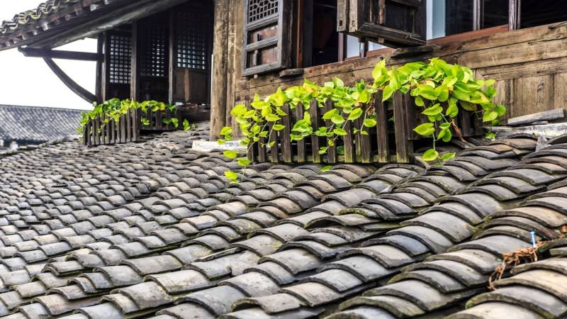 Pine & Harbor Provides 75 Complimentary CertainTeed Roofing Warranties in 2026